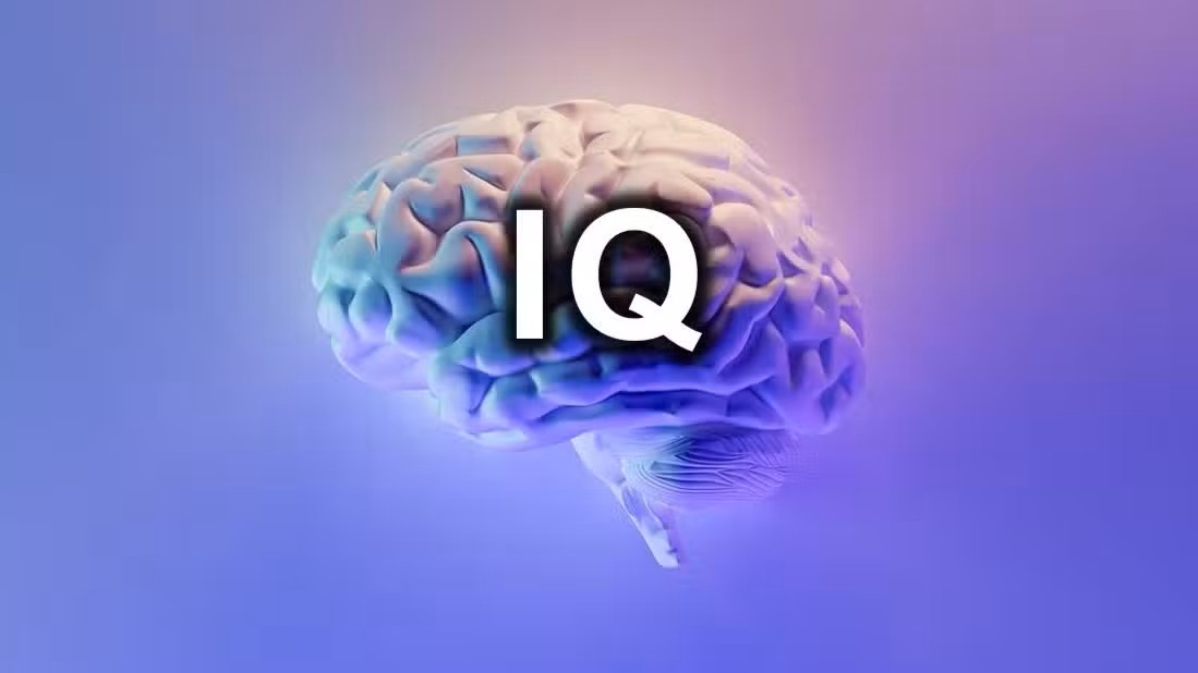 Tes Online IQ: Apa Itu, Bagaimana Cara Kerjanya, dan Seberapa Akurat?