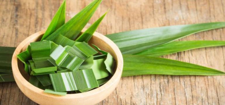 Ini Dia 6 Manfaat Daun Pandan dalam Beragam Masakan