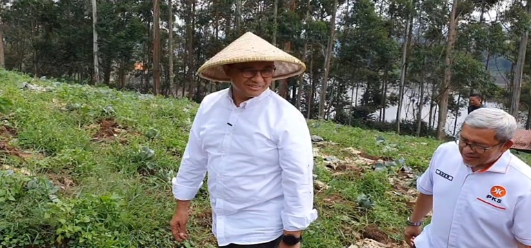 Contract Farming Menjadi Solusi Agar Harga Produk Hasil Pertanian Stabil