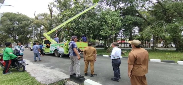 Peran Dinas Lingkungan Hidup Provinsi Kalimantan Tengah dalam Mewujudkan Lingkungan yang Sehat dan Bersih