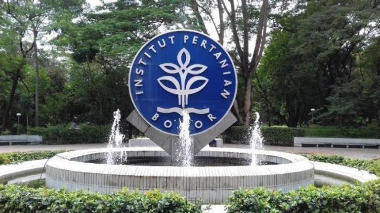 Sistem Penilaian Ujian IPB Tips dan Trik Agar Kamu Lulus dengan Nilai Memuaskan