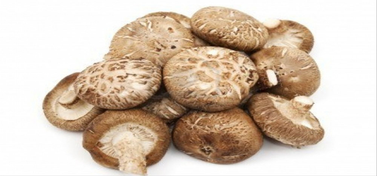 Ini Dia 4 Manfaat Kesehatan Jamur Shiitake, Anda Mesti Tahu