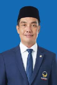 Dari Sumsel ke Senayan: Perjalanan Politik Fauzi H Amro