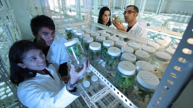 Masa Depan Teknik Kimia ITB: Fondasi Industri dan Riset Berkelanjutan dalam Revolusi Industri 4.0