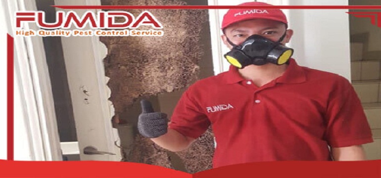 Keuntungan Menggunakan Jasa Pest Control Fumida