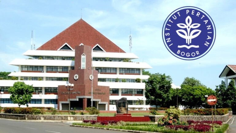 Passing Grade SNBT IPB dan Tips Menaklukkannya Dari Persiapan hingga Ujian