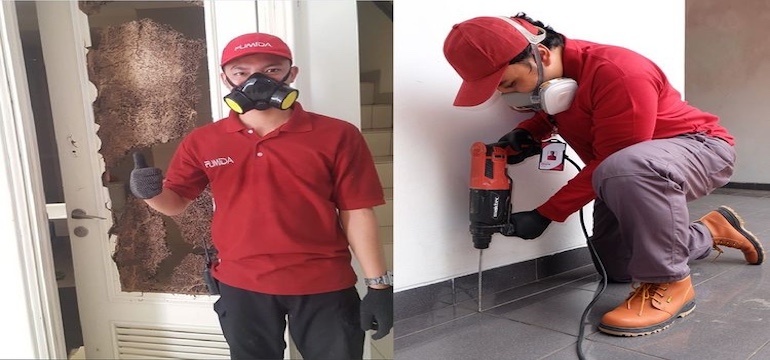 Manfaat Jasa Anti Rayap Bandung untuk Melindungi Rumah dari Kerusakan