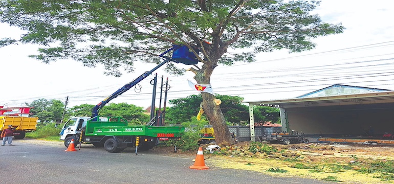 Kerja Sama Pemerintah Daerah dan Masyarakat dalam Mendukung Program Dinas Lingkungan Hidup Blitar